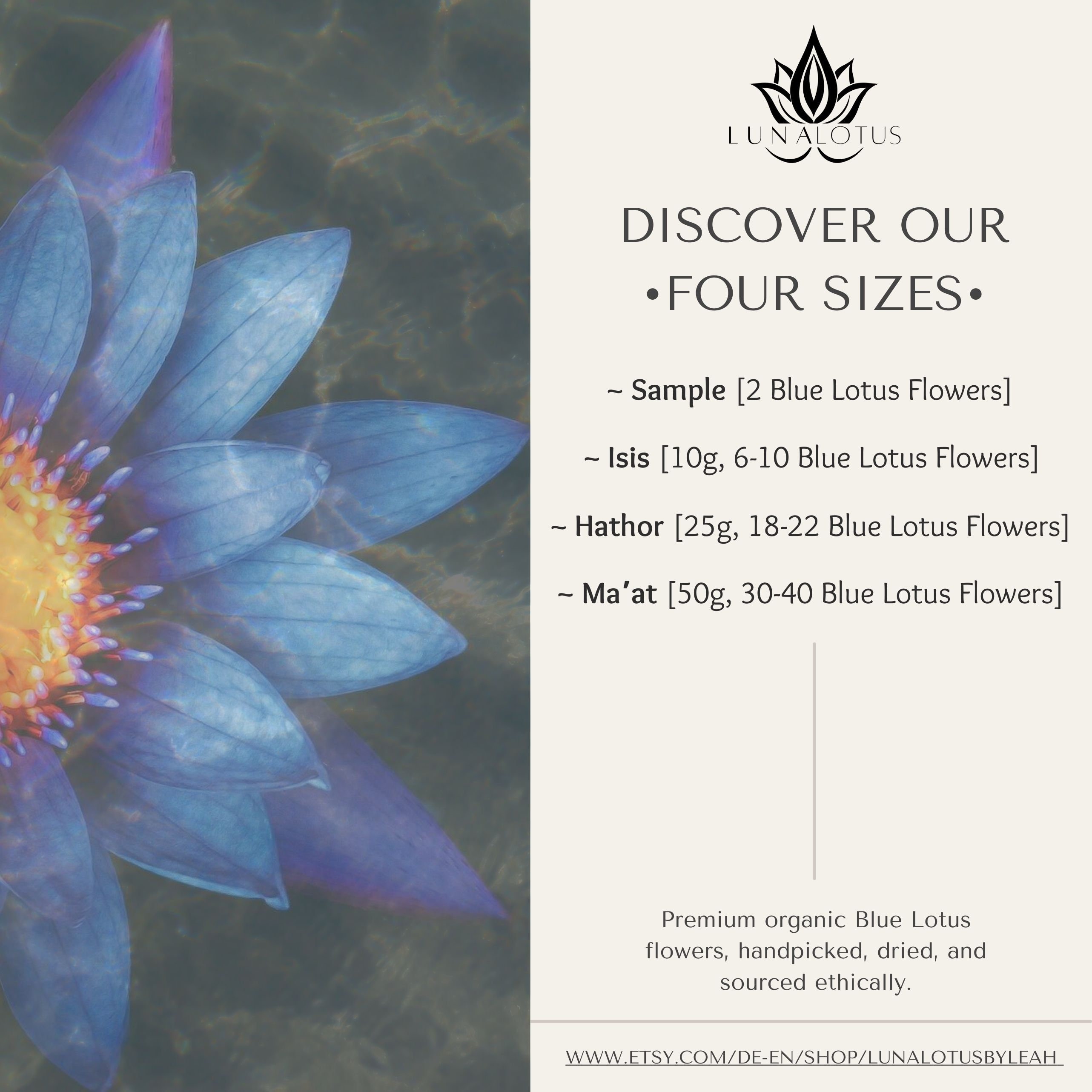 Premium Ägyptischer Blauer Lotus 100 Bio Nymphaea Caerulea Luna Lotus 1050g Ganze