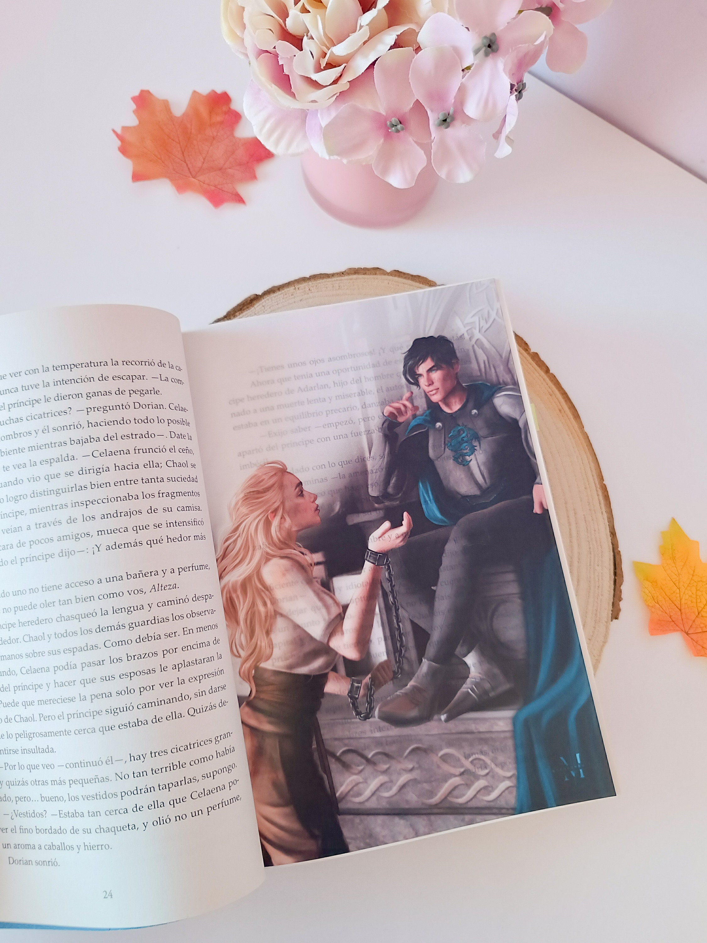 Throne of Glass Overlays Pack | SJM Official License - Etsy