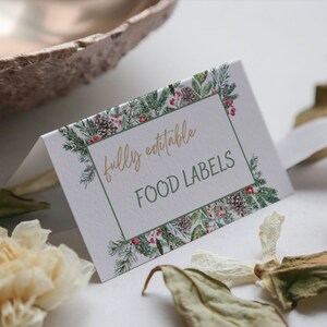 Chá de bebê de inverno Pequeno floco de neve gênero neutro CARTÃO DE ETIQUETA DE ALIMENTOS Natal Noiva Aniversário Download instantâneo para impressão