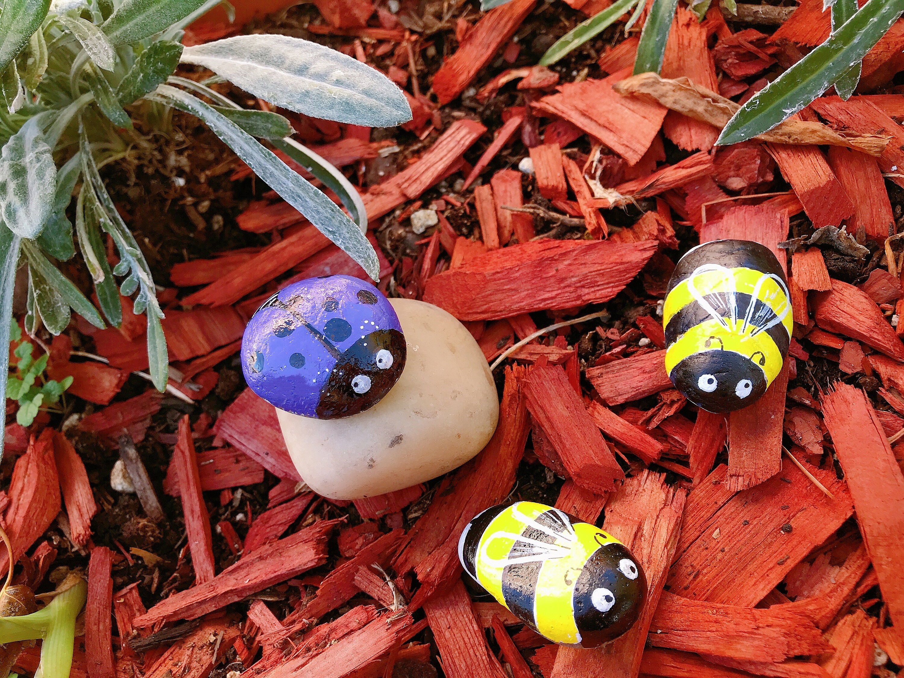 Painted Rocks Set of 6 Customized Ladybug and Bumble Bee Rocks for Your ...