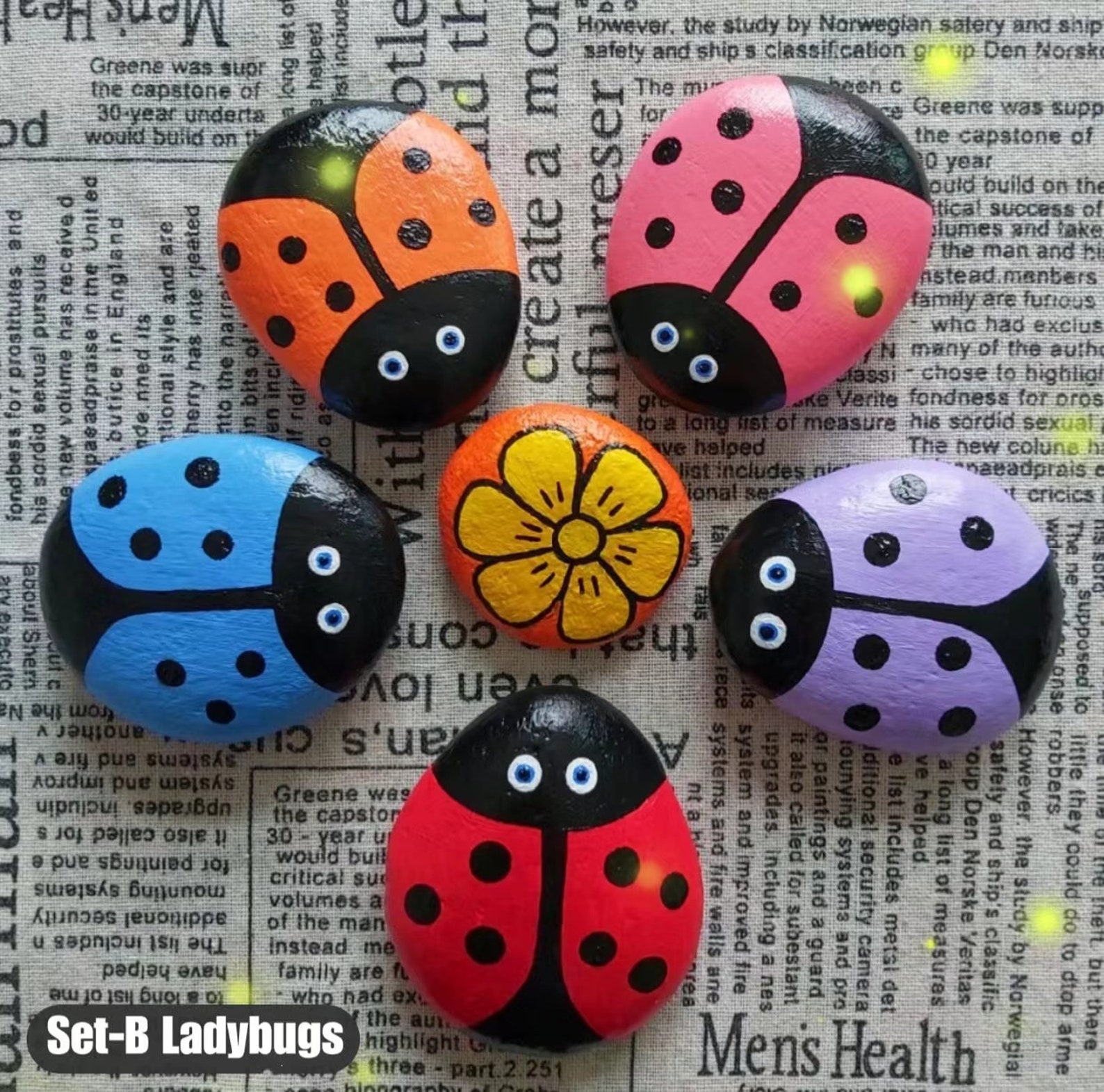 Painted Rocks Set of 6 Customized Ladybug and Bumble Bee Rocks for Your ...