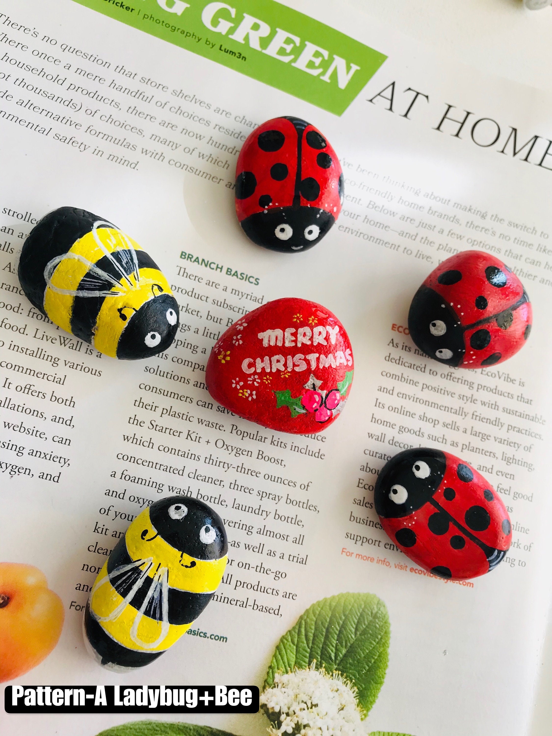Painted Rocks Set of 6 Customized Ladybug and Bumble Bee Rocks for Your ...