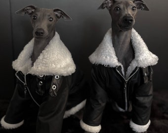 Aviator Shearling Jacket for Italian Greyhounds