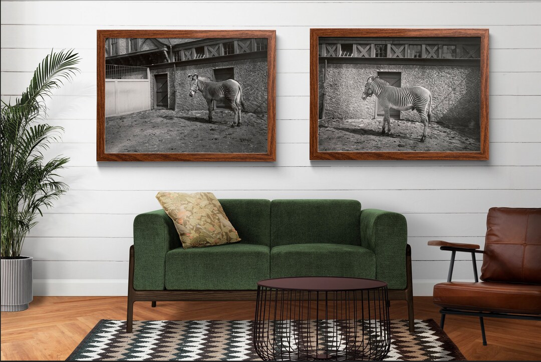 Zebra Print, Set of Two, Printable Art, Animal Art, Zebra Decor, Animal