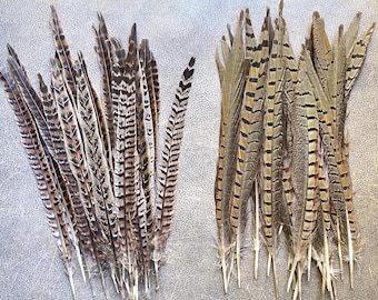 Natural Pheasant Feathers, Male and Female Variation: Boho Holiday Decor, Hats, Dreamcatchers