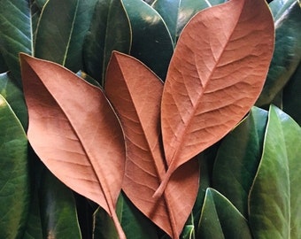 Fresh natural real southern magnolia leaves -velvet rust tobacco undersides - for wreaths, table markers, place settings, available all year