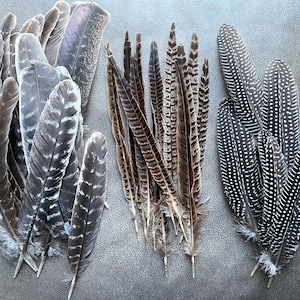 Natural turkey, pheasant, guinea fowl feathers, for bohemian flower arrangements, wreaths, centerpieces, decorating, hats, dreamcatchers