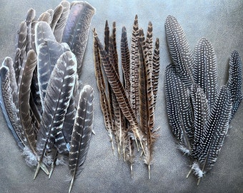 Natural Turkey, Pheasant & Guinea Fowl Feathers: Boho Holiday Decor, Hats, Dreamcatchers