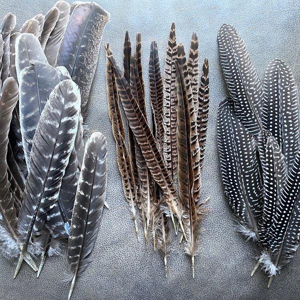 Natural Turkey, Pheasant & Guinea Fowl Feathers: Boho Holiday Decor, Hats, Dreamcatchers