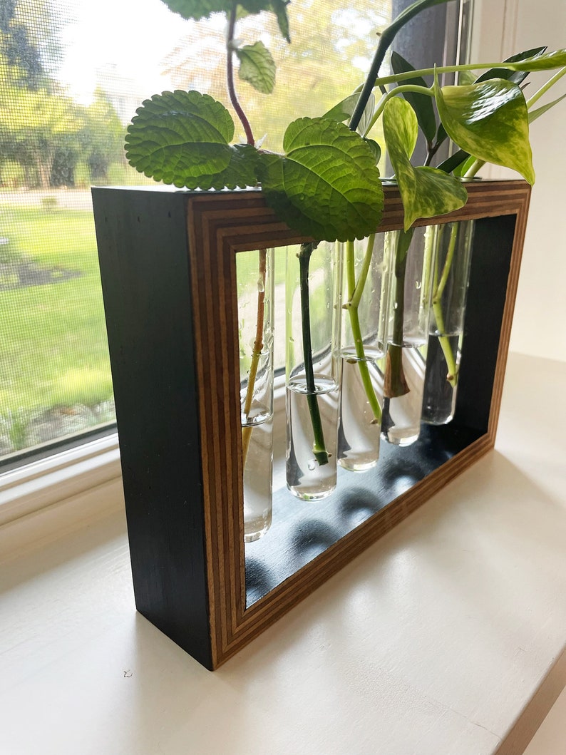 Wall Propagation Station Test Tube Holder for Propagating Etsy