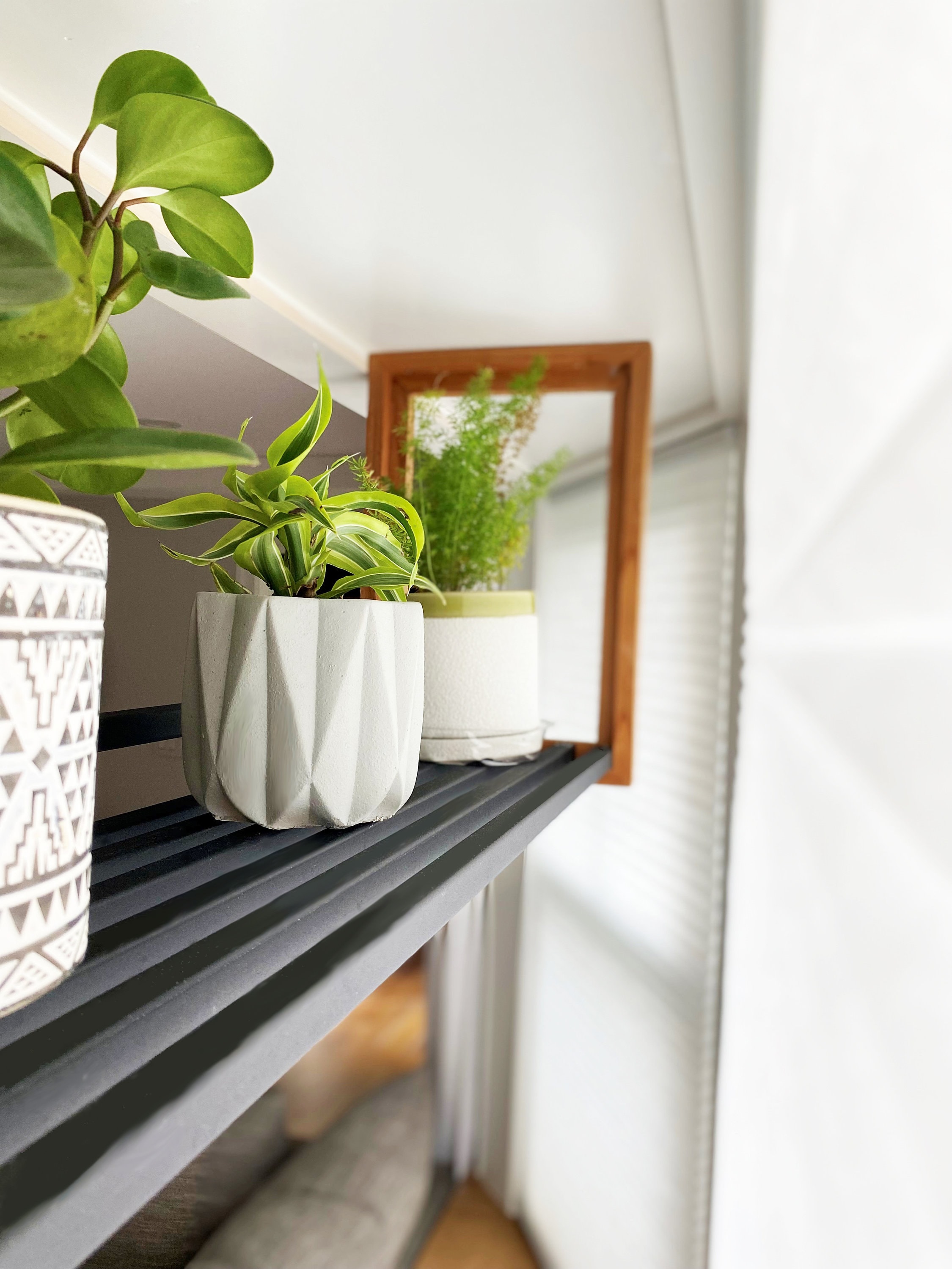 Modern Plant Shelf Plant Shelf Window Shelf Hanging Plant Etsy