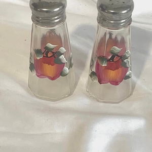 Vintage Painted Glass Salt & Pepper Shakers with Stainless Steel tops