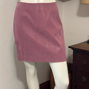 Op de afbeelding: Een stoffen mini-rok in een roze kleur. De rok is gemaakt van een zacht, fluwelig materiaal en heeft verticale naden. De rok wordt op een mannequin gepresenteerd.