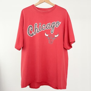 シカゴ・ブルズ Tシャツ 1996年製 L 1996年シカゴ・ブルズ 4回NBAチャンピオン ヴィンテージTシャツ