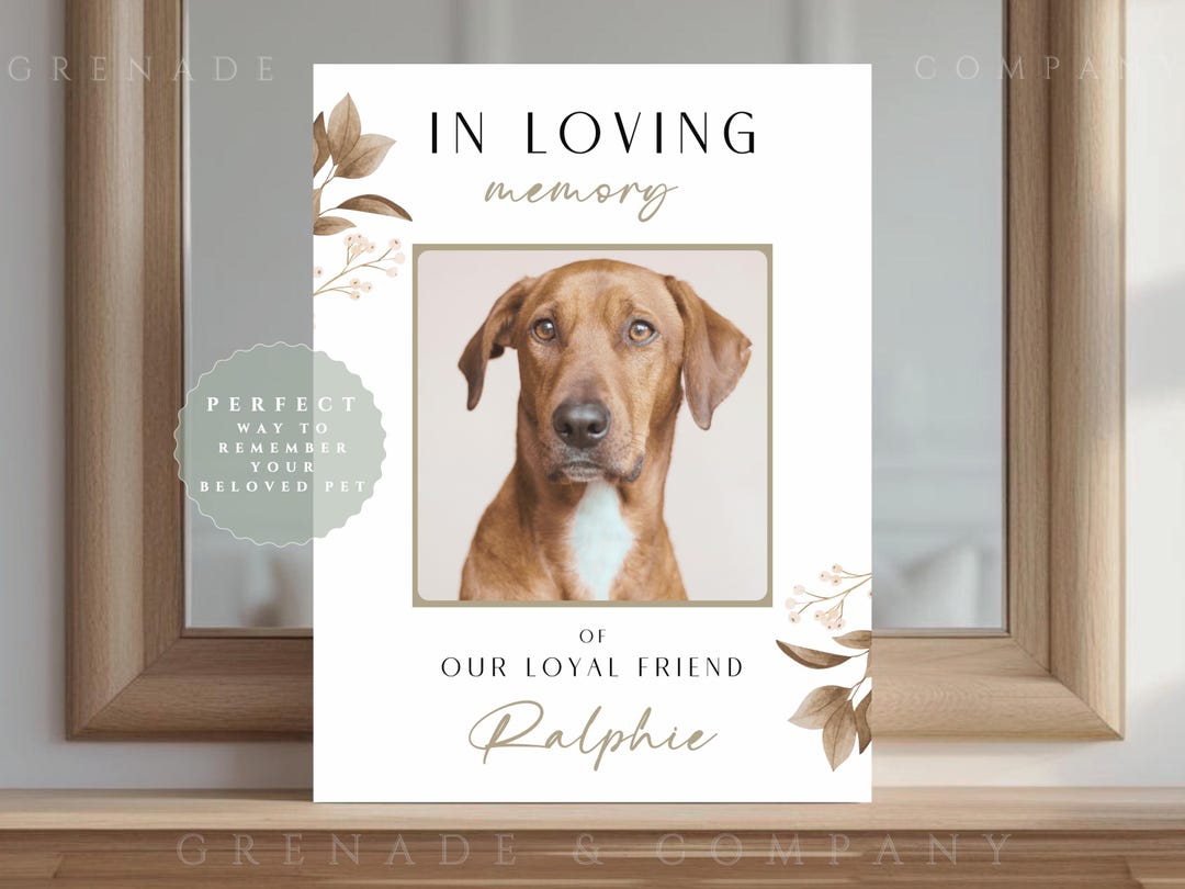 Personalized Pet Memorial Sign – in Loving Memory of Beloved Dog or Cat ...