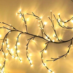 Tree branch lighting -  Canada
