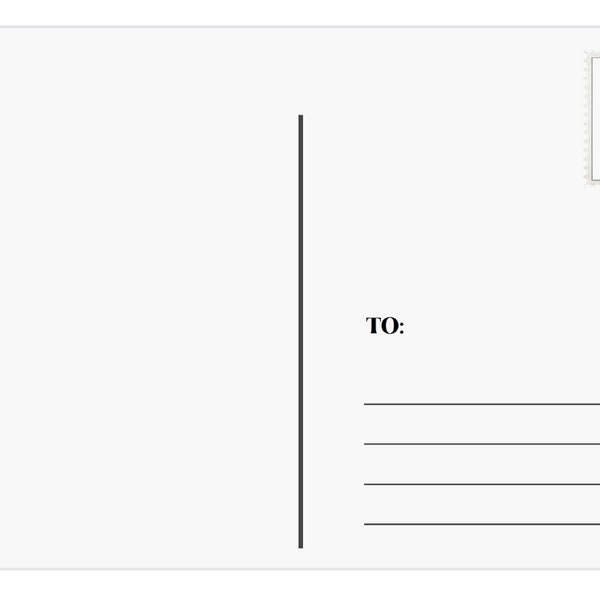 Extra Thick 17 Pt Blank White Customizable Postcards Matte Finish 4x6