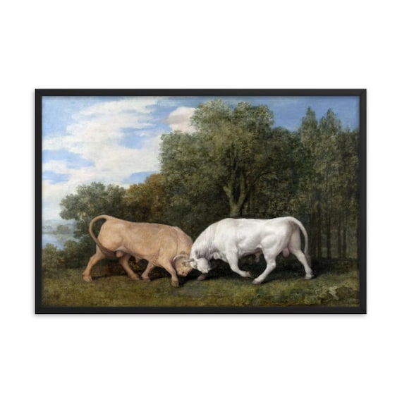 Bulls Fighting (1786) Famous Romanticism Painting by George Stubbs Print