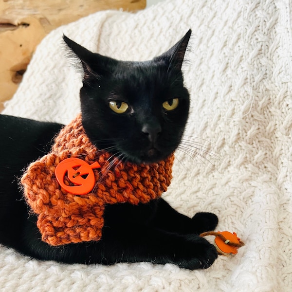 Fall Scarf for Cat, Scarves for Purr-fectly Fashioned Kitty Cats!  Family Photo, Pet Photo, Cat Gift, Fall, Harvest Collection Cat Scarves