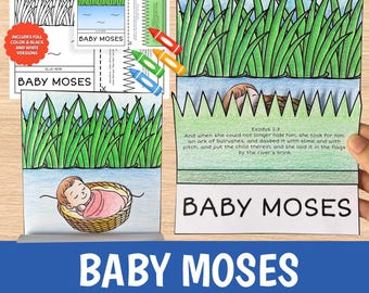 May include: A paper craft project depicting Baby Moses in a basket among bulrushes. The set includes printed templates with green grass, blue water, and a sleeping infant. Text on the craft reads Baby Moses and includes the Bible verse Exodus 2:3.