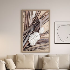 Coral Pile No 3 Vertical Poster, shell coral wall art, seashore tropical photography, coastal wall decor horizontal unframed poster, nature
