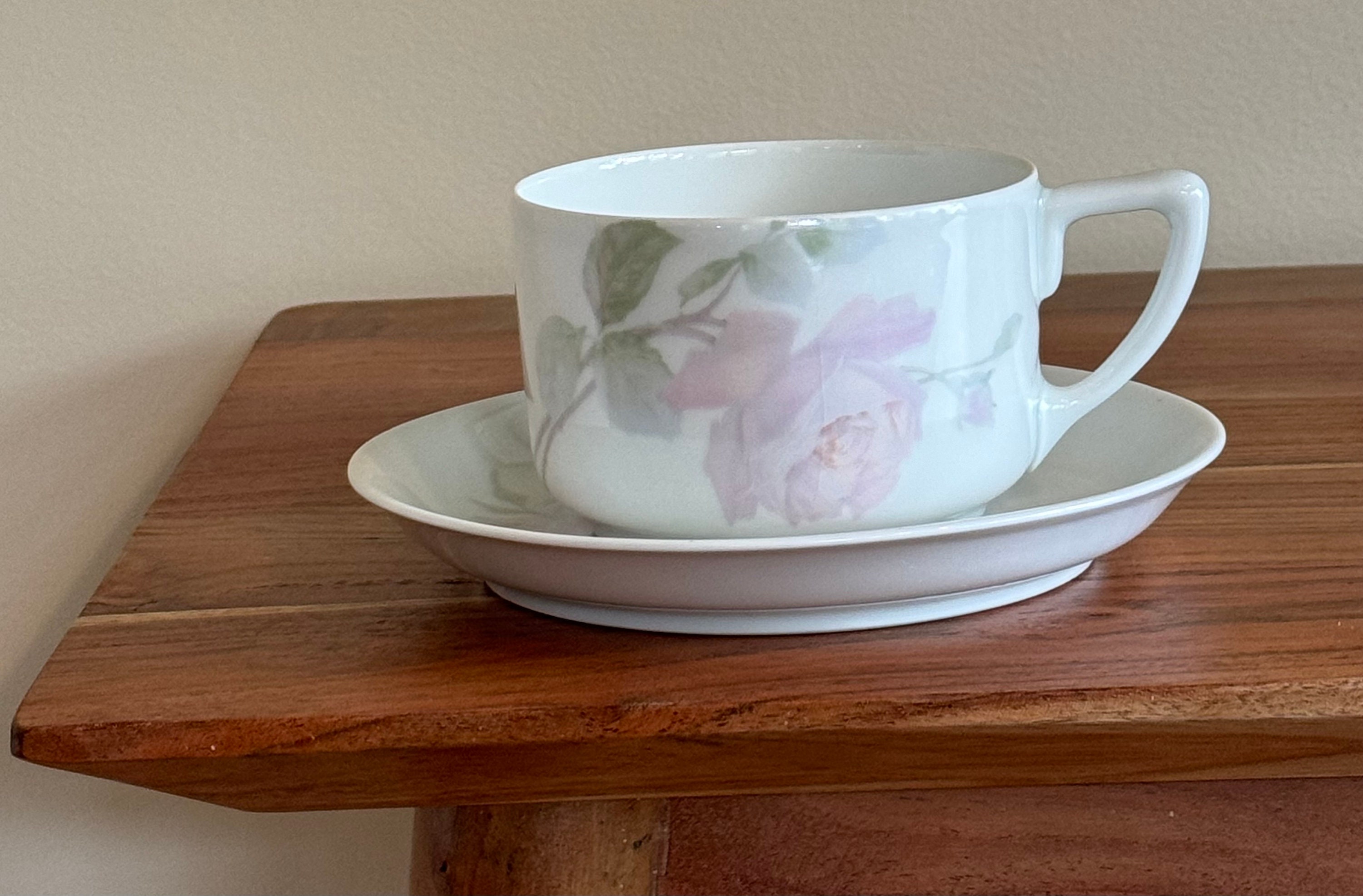 Vintage Rosenthal Selb Isolde Bavaria Teacup & Saucer Pink
