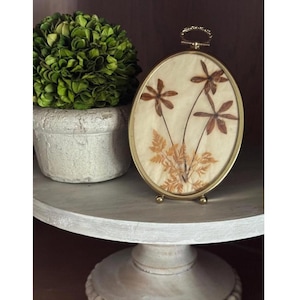 Vintage Framed Dried Flowers Preserved in Mini Brass Oval Frame Perfect Gallery Wall Cottage French Country Convex Bubble Glass