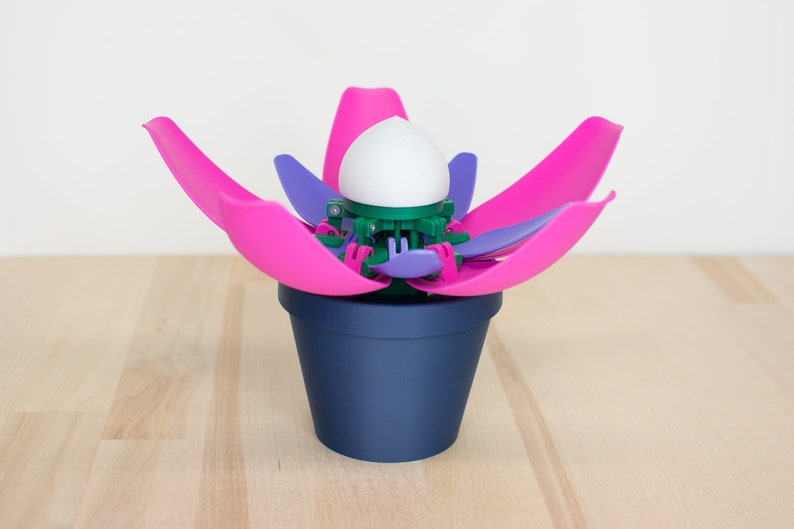 Blooming Flower Color Changing Night Light opens and Closes Etsy