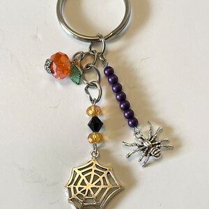 May include: A silver key chain with a spider charm, a web charm, and orange, purple, and black beads.