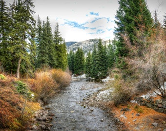 Vail Village Bridge View - Colorado Mountain River, Green Trees, Scenic Beauty