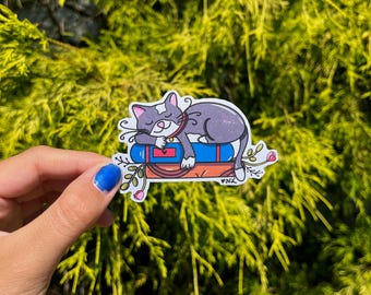 May include: A sticker featuring a gray cat sleeping on a stack of books. The cat has a white spot on its head and a red collar. The books are blue and brown, with floral accents.