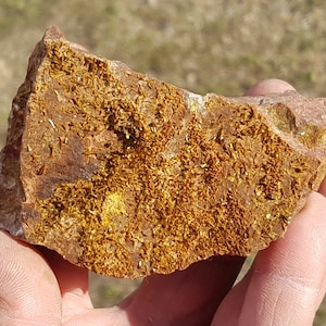 May include: A close-up of a rough, brown rock with a layer of bright yellow crystals on the surface.