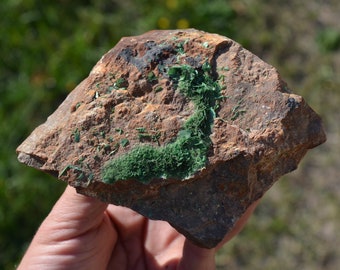 Torbernite Le Limouzat France les bois noirs Minéraux rare mineral uranophane autunite très beau spécimen 500 gr autunite uranophane pierre