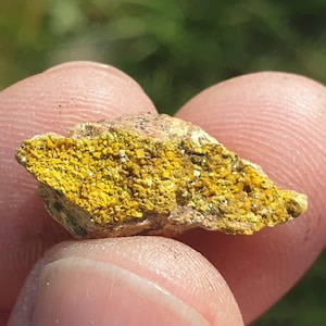Puede incluir: Una pequeña roca rugosa con un revestimiento cristalino amarillo. La roca está siendo sostenida en una mano.