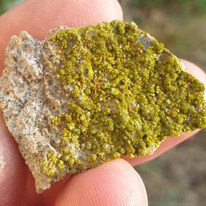 Puede incluir: Primer plano de un espécimen mineral. La roca tiene una superficie rugosa y texturizada con una base gris claro. La parte superior está cubierta por una vibrante formación cristalina de color amarillo verdoso. El mineral parece estar sostenido por una persona.