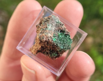 Torbernite de Kolwezi Katanga RDC Congo Minéraux mini boite rare mineral uranophane autunite très beau spécimen shaba box 28 mmx 28 mmx 22mm
