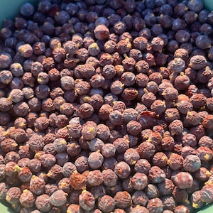May include: A bowl filled with dried juniper berries. The berries are a dark purple color and have a slightly wrinkled texture.