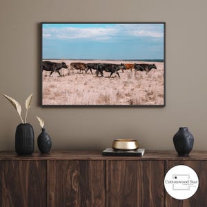 Morning Graze koe print, boerderij kunst aan de muur, landbouw vee fotografie, western decor, rustiek weiland landschap, prairie foto, koe print