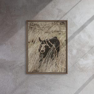 Foto de vaca enmarcada: Arte de pared rústico de granja