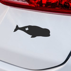 Beluga Wal Ahornblatt Aufkleber | VINYL AUFKLEBER | Beluga Aufkleber | Wal Aufkleber | Tier Aufkleber | Laptop Aufkleber | SUV Aufkleber | Benutzerdefinierte Auto Aufkleber
