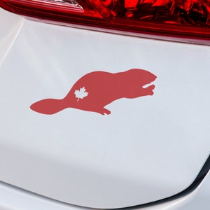 Aufkleber Biber (Ahornblatt) | VINYL AUFKLEBER | Biber Aufkleber | Tier Aufkleber | Auto Aufkleber | Laptop Aufkleber | SUV Aufkleber | Benutzerdefinierte Auto Aufkleber