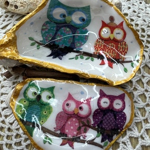 Decoration Whole oyster owl, owls