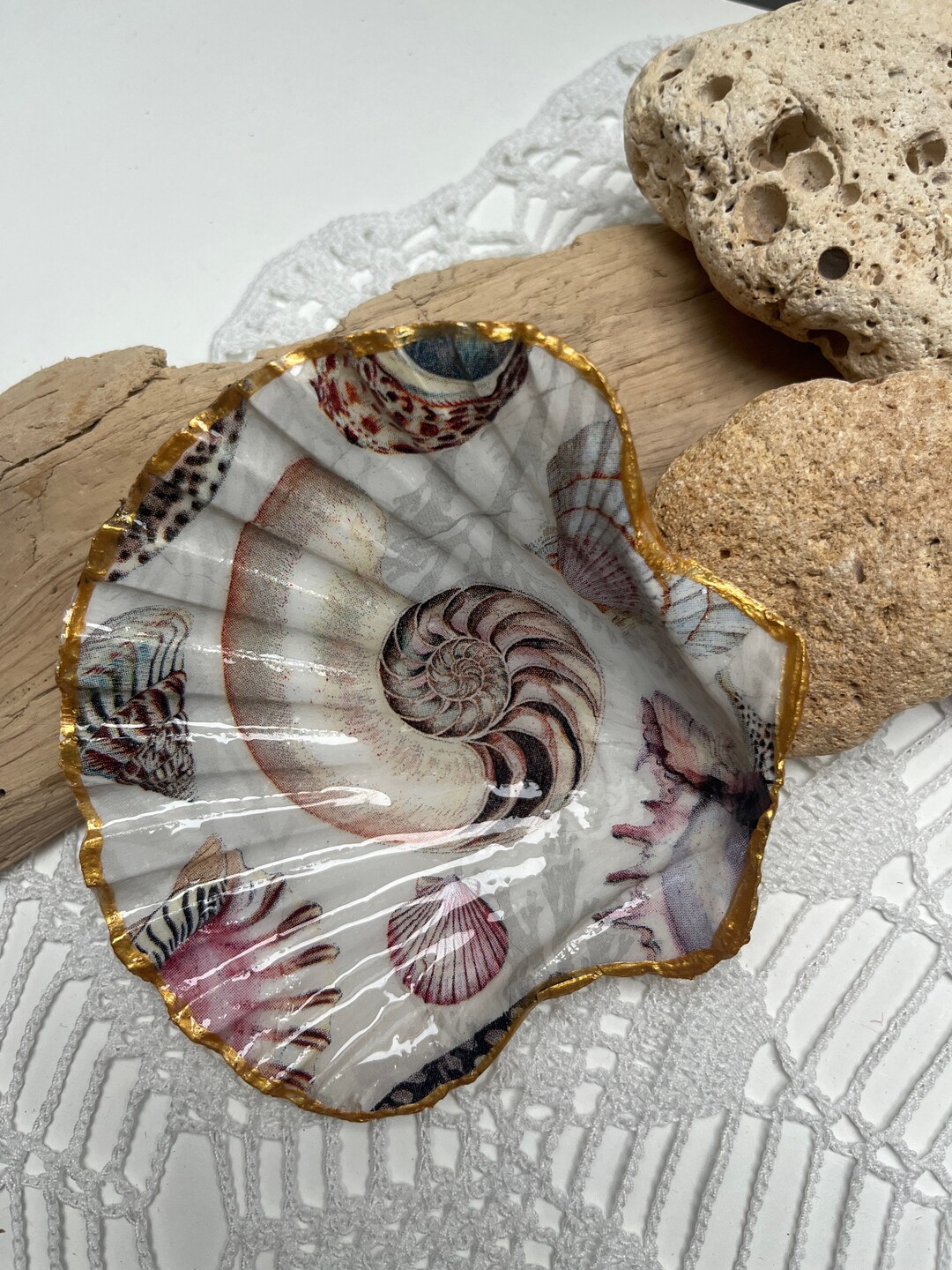 Coquille Saint Jacques Decoration Atlantic Ocean Seashell Etsy