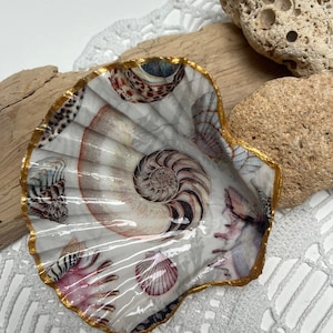 Könnte beinhalten: Eine weiße Muschel mit goldener Umrandung, verziert mit verschiedenen Muscheln und einer Nautilus-Schale. Die Muschel liegt auf einer Holzoberfläche.