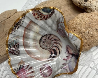 Decoration Scallop Atlantic Ocean shell theme soap dish ring dish