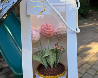 Mother's day gift Crochet flower pot,mother’s day gift,knitting unique gift, crochet tulip, rose,Birthday gift, Anniversery gif
