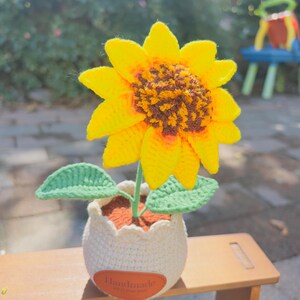 Puede incluir: Un girasol de ganchillo hecho a mano en una maceta blanca. El girasol tiene pétalos de color amarillo brillante y un centro marrón. La maceta es blanca con un borde festoneado y una etiqueta de cuero marrón que dice "Handmade".