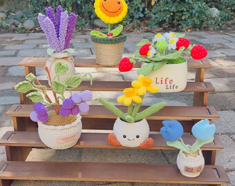 Crochet Potted Plants Gift Set – Handmade Crochet Flowers for Wedding, Birthday, Housewarming, Anniversary Décor