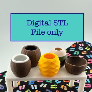 Puede incluir: Una colección de pequeñas macetas decorativas en varias formas y colores, incluyendo una maceta con forma de coco, una maceta con forma de piña y una maceta marrón con textura de madera. El texto "Digital STL File only" se muestra sobre un fondo turquesa.