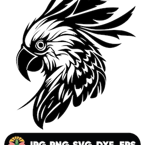 Adorable Parrot svg, Bird Portrait svg, Pet svg, Parrot SVG Bundle, Parrot svg, Parrot Clipart, Parrot silhouette, Parrot cut file